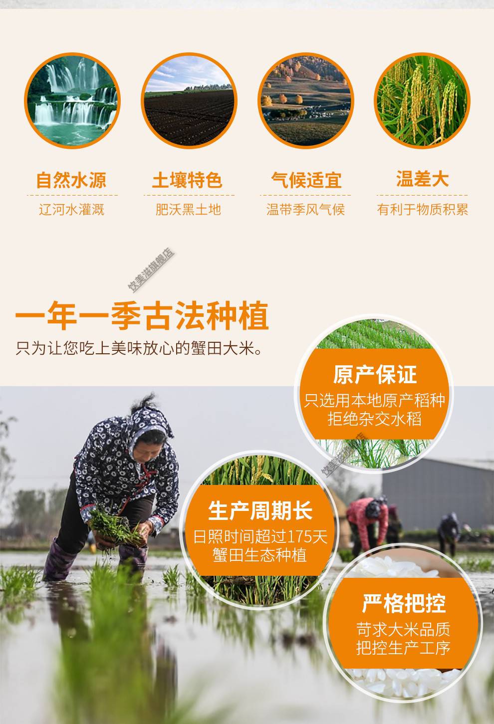 天禹盘锦大米5kg东北蟹田大米珍珠米10斤装当季稻新米粳米低氧保鲜类