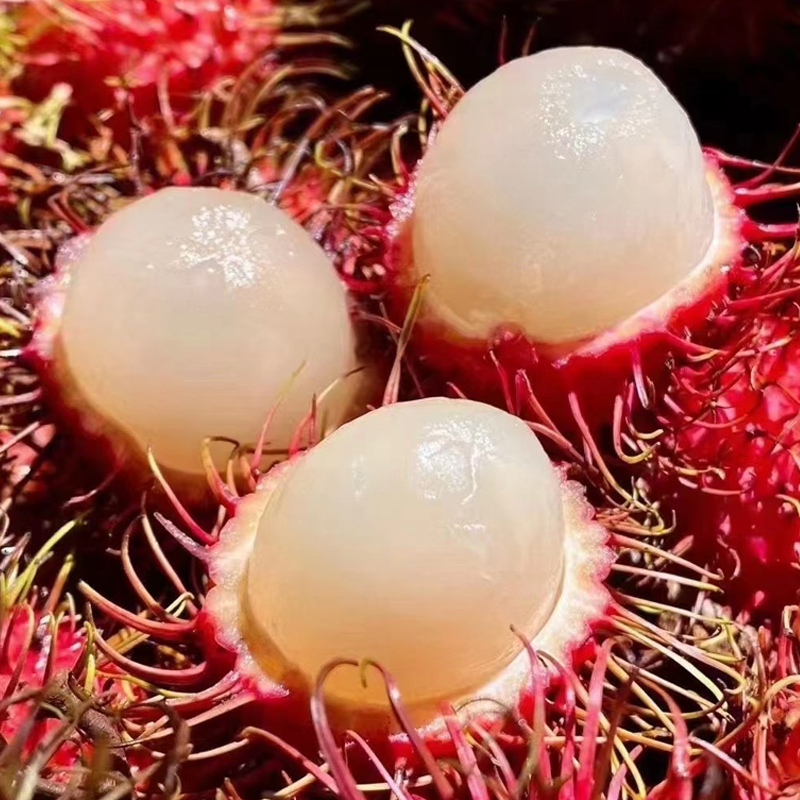 海南红毛丹水果新鲜红毛胆酸甜水果当季热带特产毛丹果孕妇水果建送礼