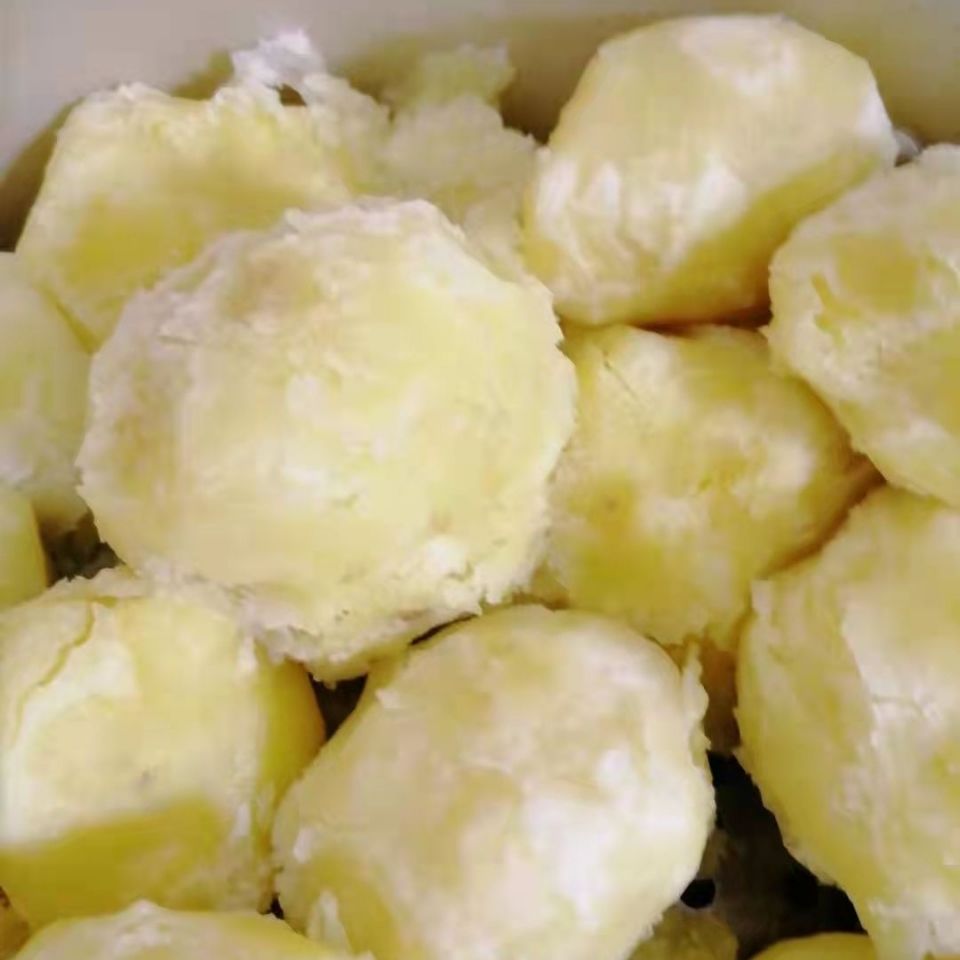 5折 云南李子沟开花洋芋 东川特产开花洋芋东川李子沟开花洋芋现挖