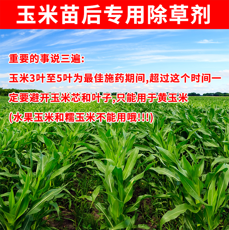 玉米除草剂烟嘧磺隆莠去津农药店杀草玉米地苗后专用杂草除草剂100ml