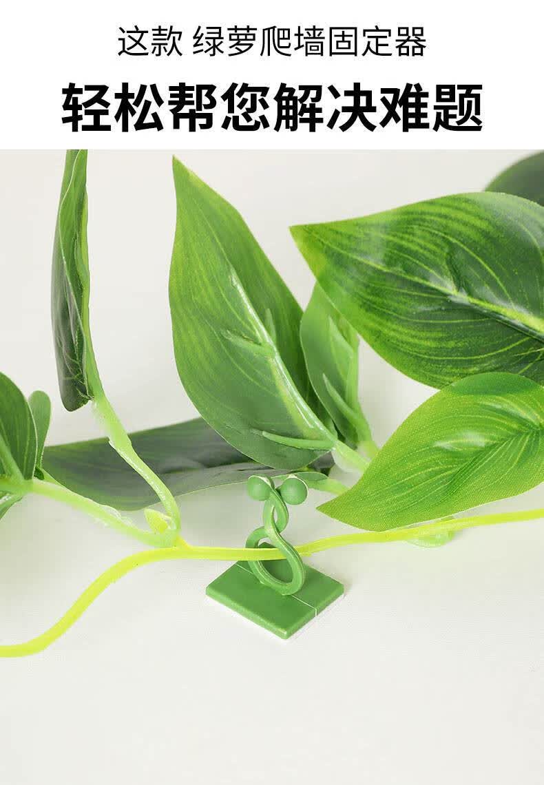 绿萝固定器挂墙 绿萝爬墙 自粘式固定器家用无痕卡扣绿枝爬藤杆夹子