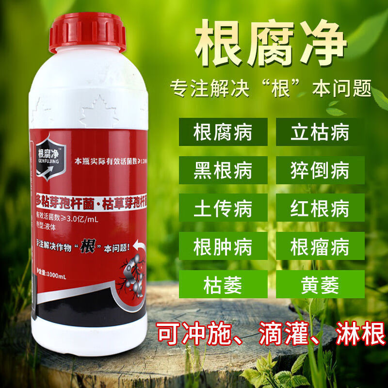 根腐净草莓芹菜大姜根腐病死苗烂根专用药茎基腐病根肿病剂1瓶1000