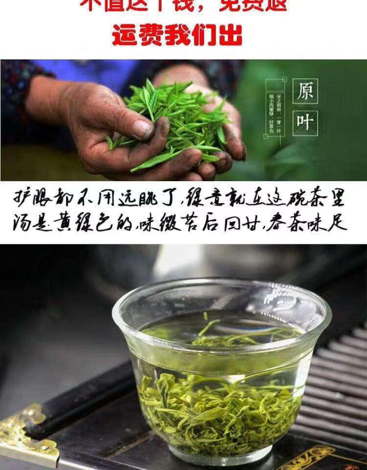 2021年明前新茶上市青岛胶南炒青海青绿茶叶碧螺春春茶