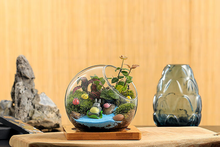 精品绿植创意苔藓微景观植物多肉盆栽团体活动diy生态玻璃瓶桌面绿植