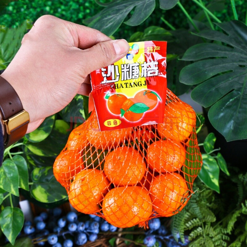 网兜渔网格商超市场通用23斤柑橘蜜桔龙眼桂圆打包扎袋水果包装袋博与