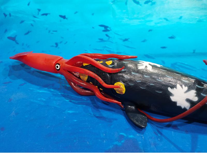 乌贼抹香鲸模型鱿章鱼鱿鱼八爪鱼模型巨型枪酸浆海洋玩具蓝鲸大号巨