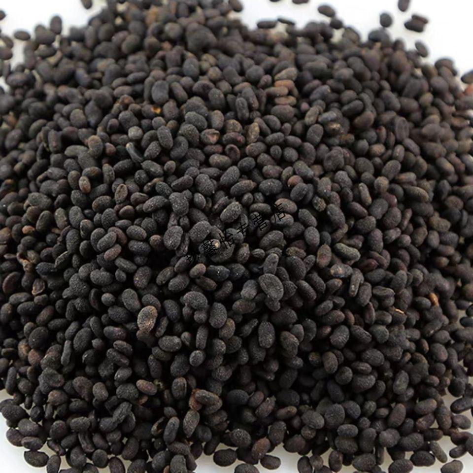 生精子新品中药材云南藤冲苗家特产泡酒料药酒500g5g 生精子500克