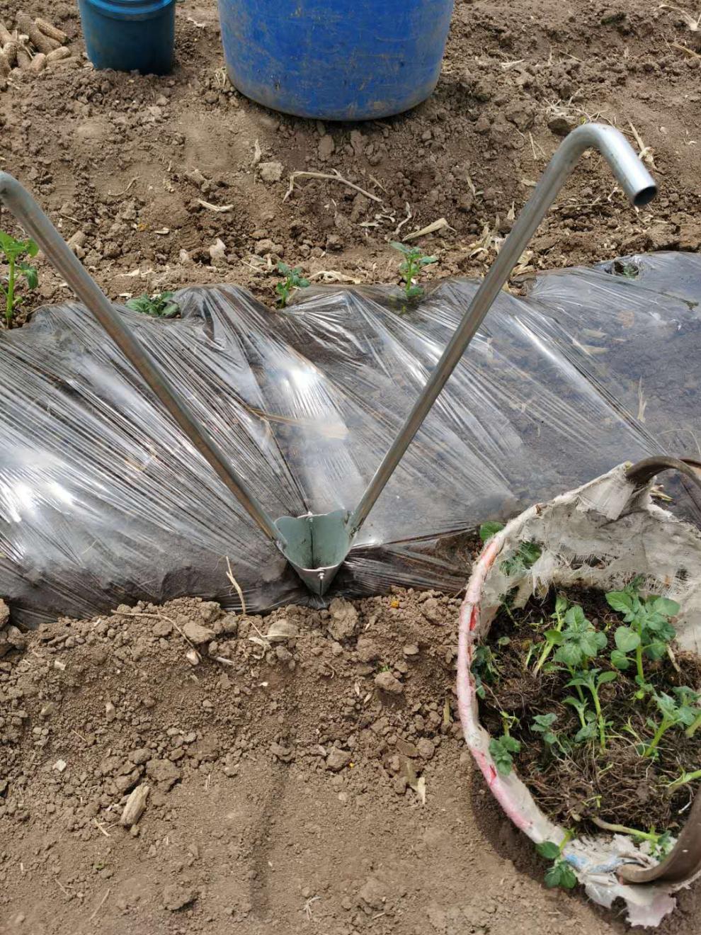 栽苗器移苗器加厚带脚蹬多功能种辣椒苗神器移植农用工具无脚蹬