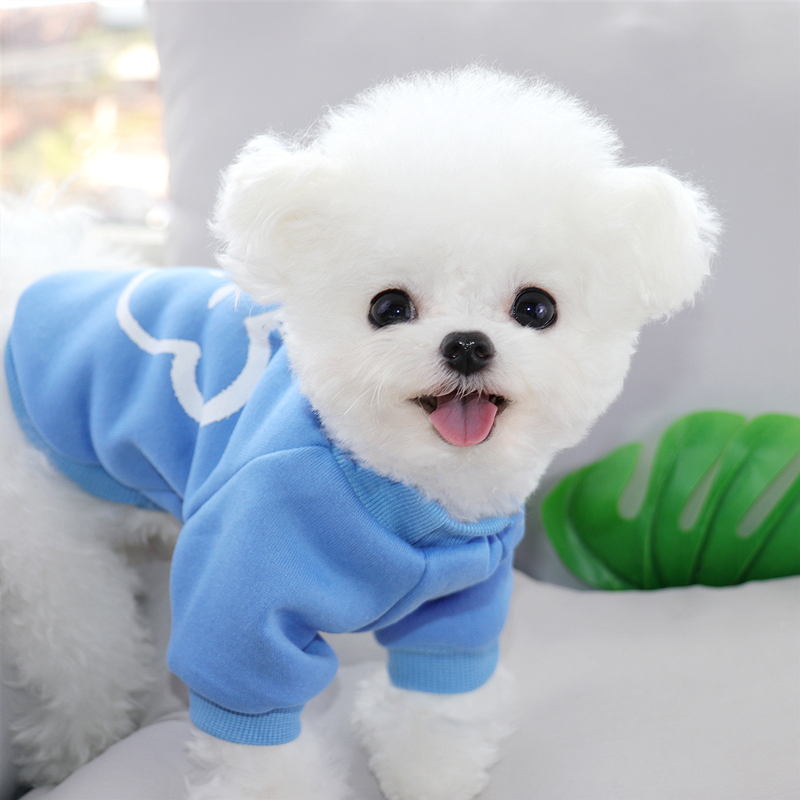 衣服秋冬季两三个月的吉娃娃小鹿犬12小体服饰蓝色xs背长18cm建议12斤