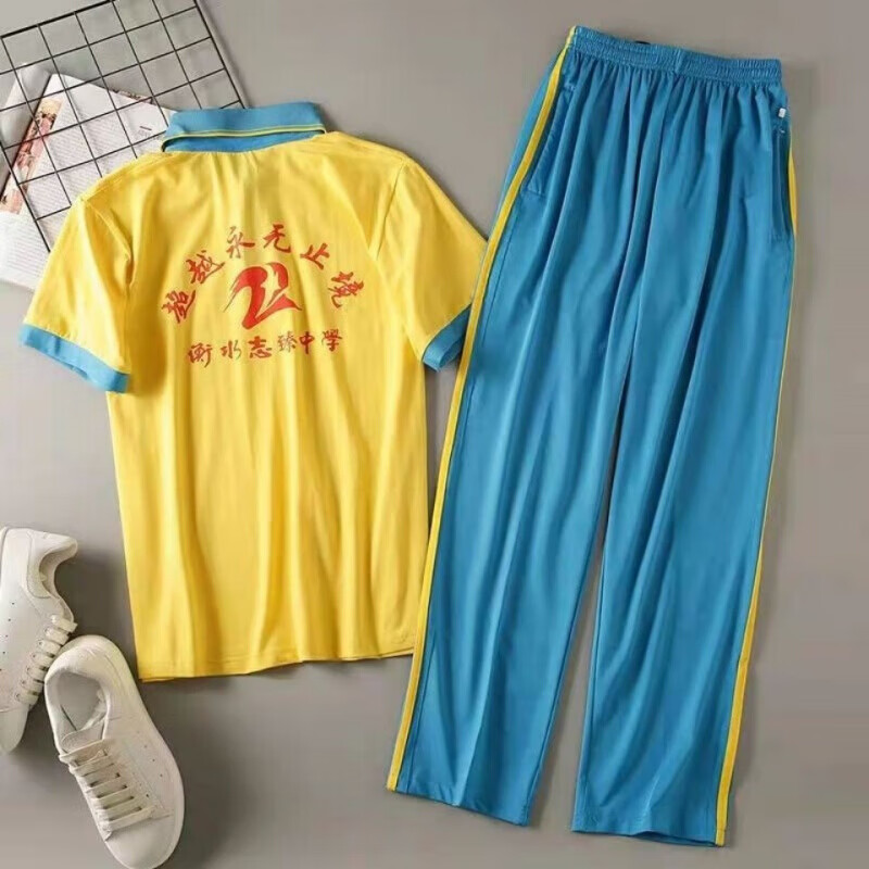 歌鹏衡水二中志臻校服衡水二中志臻中学滨湖清河安平校区初中男生女生