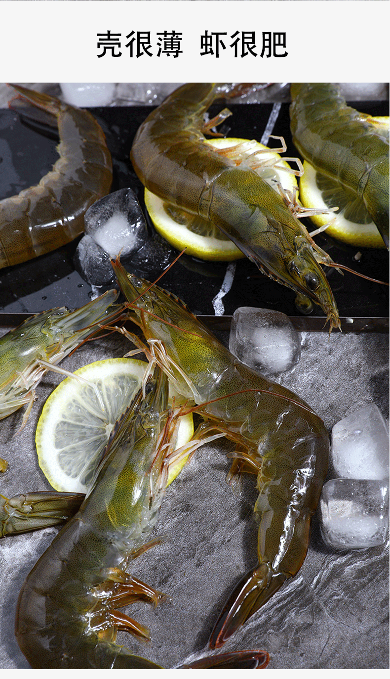 新鲜对虾鲜活基围虾海捕大虾活虾青虾明虾大海虾海鲜水产 2斤【图片