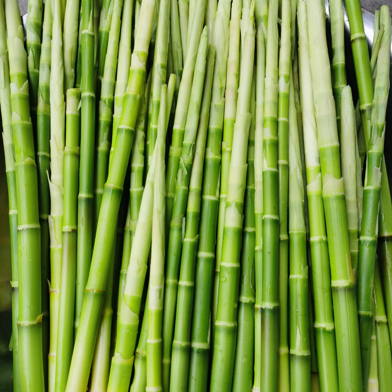 桂林灌阳山竹笋新鲜笋现挖小笋小竹笋新鲜5斤鸟笋带壳雷笋2500g