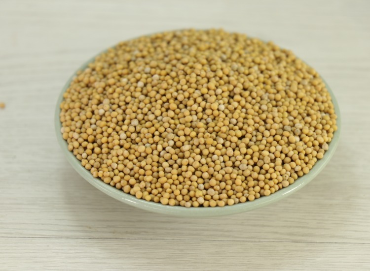 北京同仁堂白芥子250g代打白芥子粉中药材生白芥子籽白介子【图片