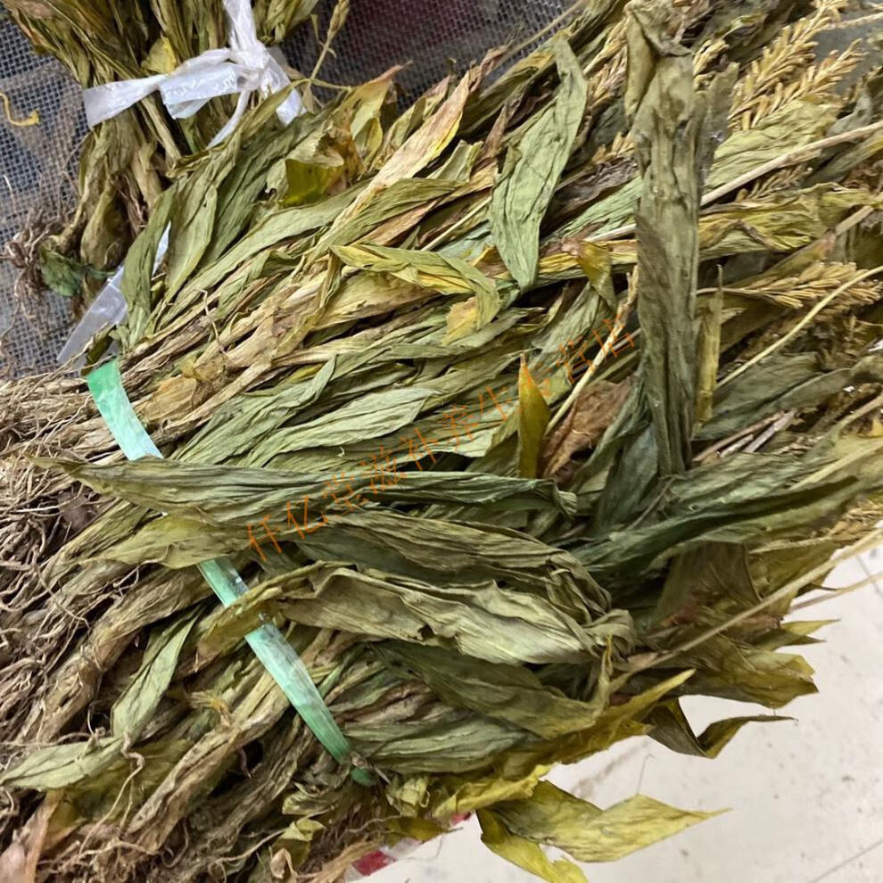 见血清 中药材见血清 见血清 紫星羊耳蒜 走子草 250g 500g