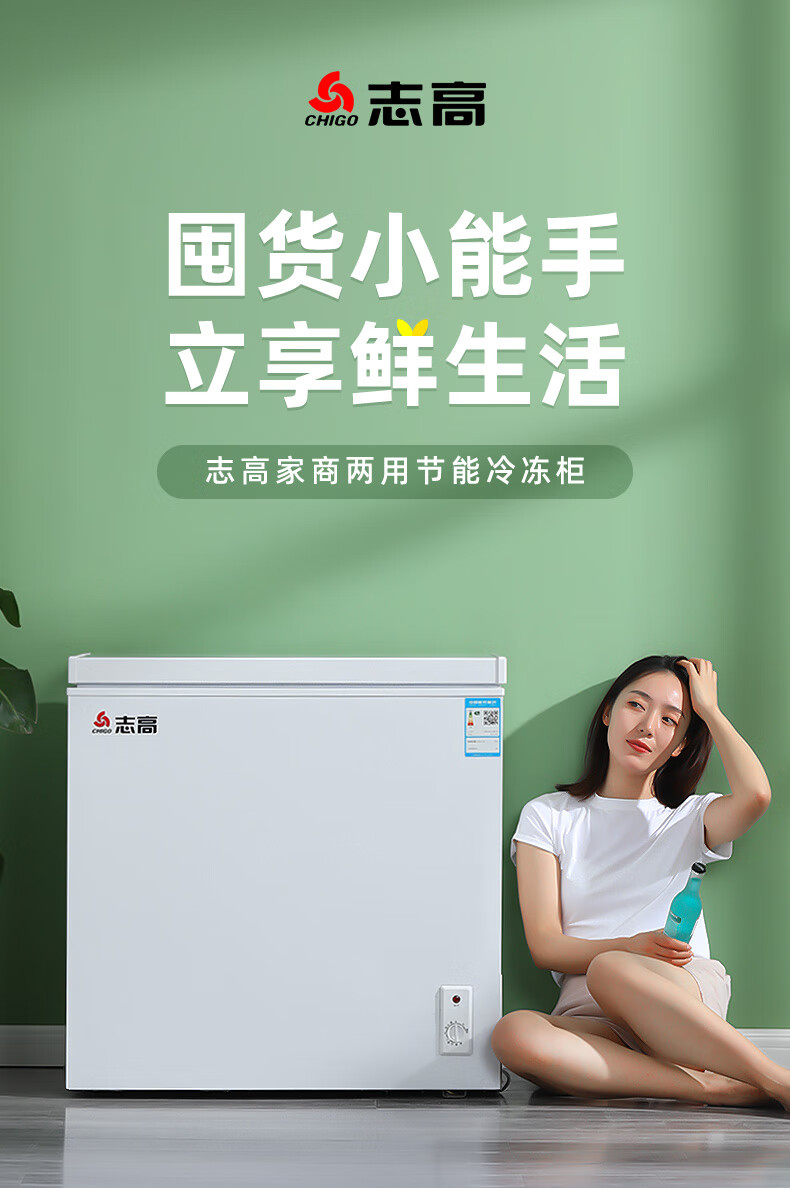 志高小型冰柜商用志高一级节能小冰柜家用全冷冻小型迷你省电保鲜冷藏