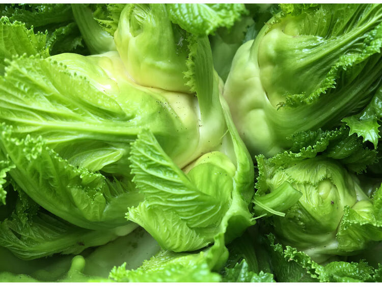 四川儿菜嫩抱子芥农家现摘抱儿菜新鲜蔬菜5斤纯儿子菜