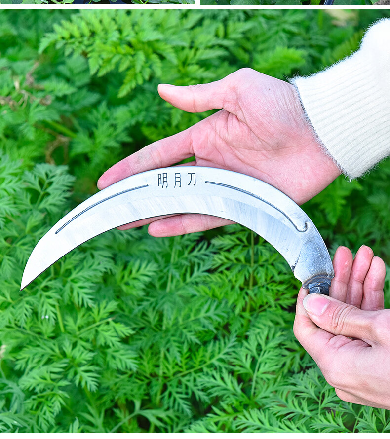 钓鱼割草刀专用打窝割草镰刀除草神器野钓割水草刀加厚锰钢镰刀头
