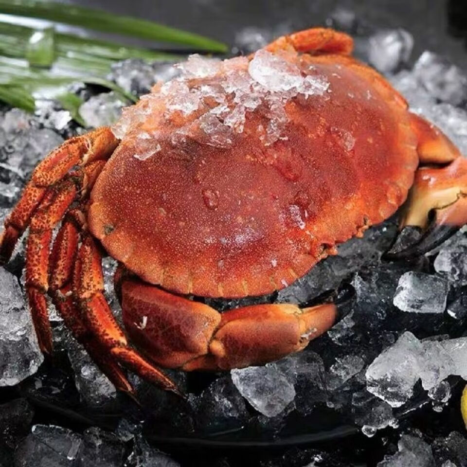 冷冻面包蟹鲜活冷冻大螃蟹生猛海鲜宴请贵宾高贵食材2只共354斤