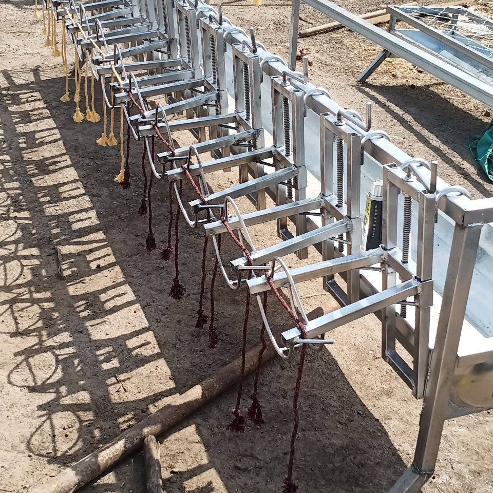 剪羊毛升降羊用固定配种架兽用羊头架羊头器给羊打针的架子定制固定款