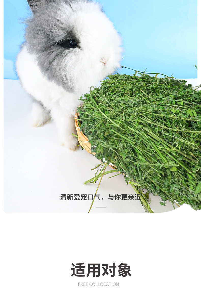 21年新紫花苜蓿草幼兔子草龙猫荷兰猪豚鼠牧草干草兔粮食饲料1kg