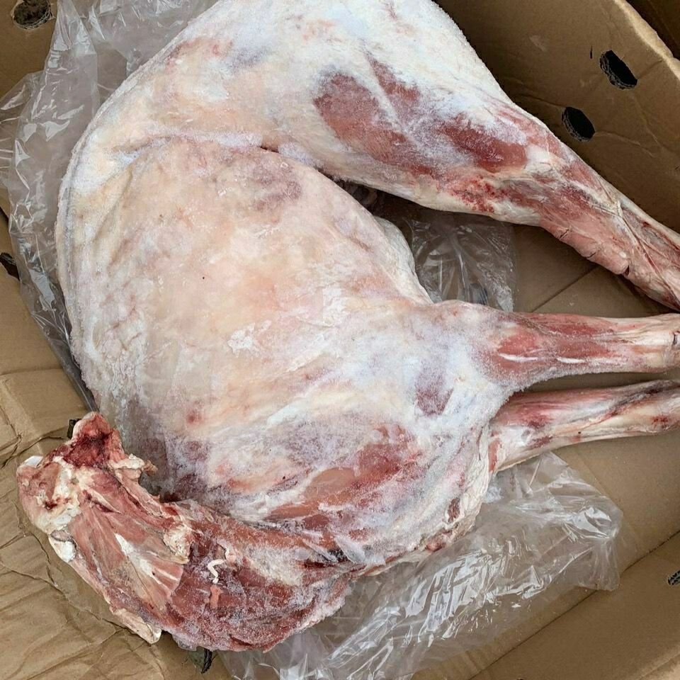 新鲜冷冻烤全羊内蒙古小羔羊烧烤酒店食材10斤装多退少补