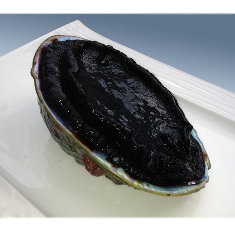 新西兰黑金鲍大头鲍活冻刺身清蒸进口鲍鱼约300-800克/个 450 -30