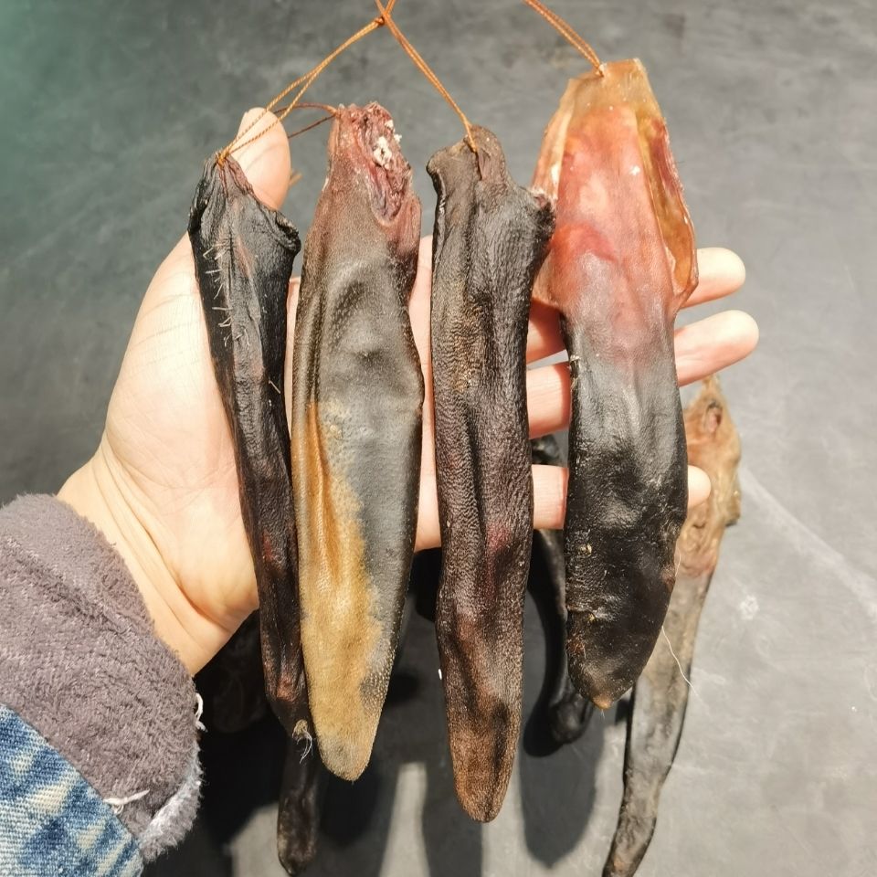 东北正宗梅花鹿尾干鹿尾巴精10克左右药材泡酒煲汤药材马鹿尾 官方