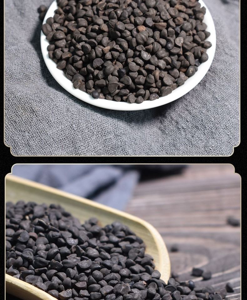 黑丑中药材二丑牵牛子无杂质黑无硫磨牵牛子粉100g黑丑500克