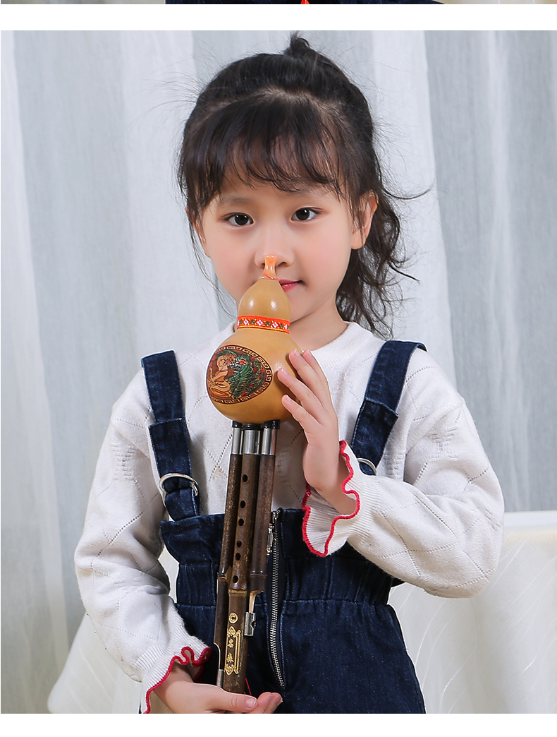 minsine名森葫芦丝降b调乐器初学者学生成人双音演奏带盒降b/c调 仿