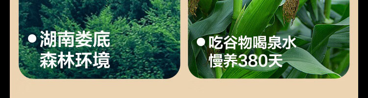 39c06d10d56bc31a.jpg
