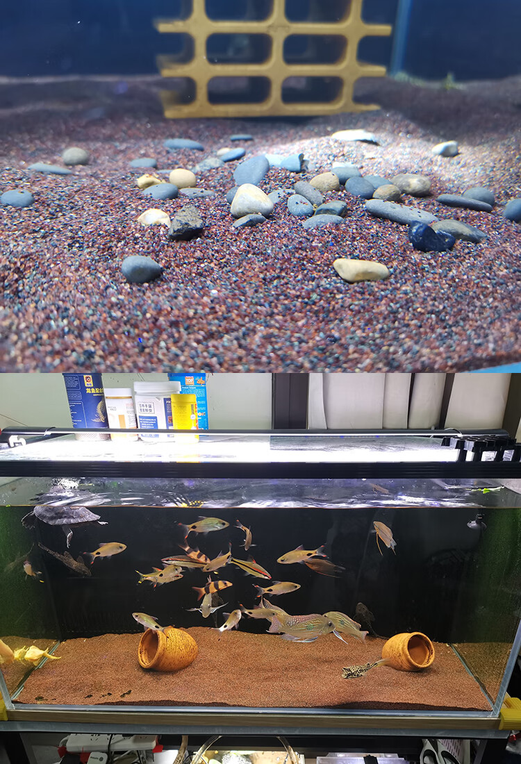 热带雨林沙鼠鱼沙鱼缸造景沙埃及七彩雷龙底砂化妆沙太行红石榴沙 5斤