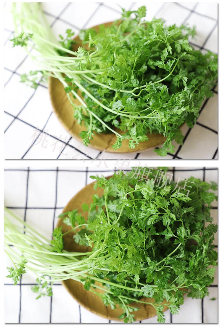 新鲜细叶芹100g 香料蔬菜西餐香料 欧芹 100g