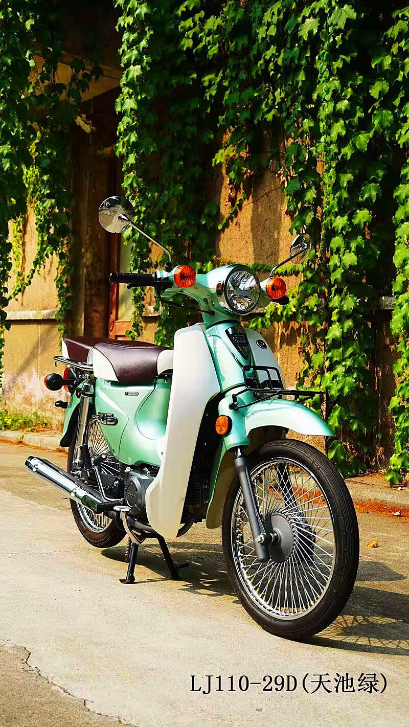 弯梁复古摩托车110两轮国四电喷嘉陵coco幼兽全国可上牌海岸白双离合