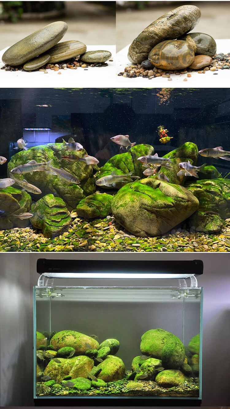 溪流石造景石原生南美缸天然鹅卵石三湖慈鲷躲避鱼缸套餐乌龟晒台溪