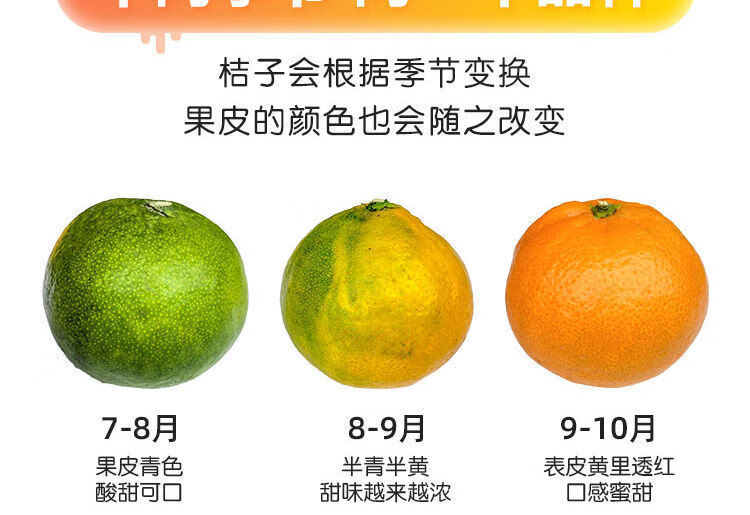 10039097655760商品名称:【精选直发】橘子新鲜现摘桔子水果青桔孕妇