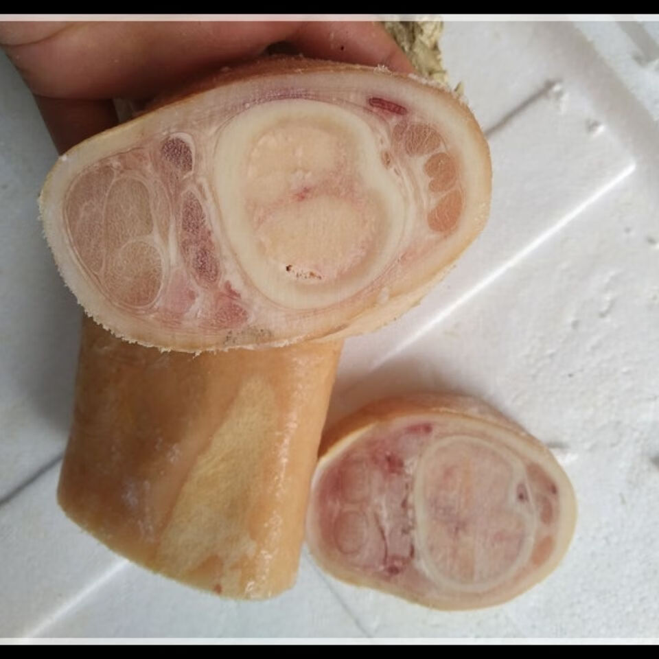 新鲜黄牛蹄生牛蹄子牛脚牛腿整根切块带筋骨炖汤红烧火锅 新鲜牛蹄