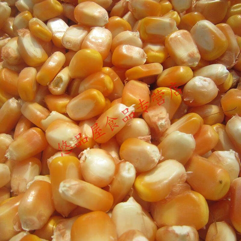 晨臻 本地玉米粒小玉米粒新玉米挑选玉米籽10斤 5000g 5000g【图片 价