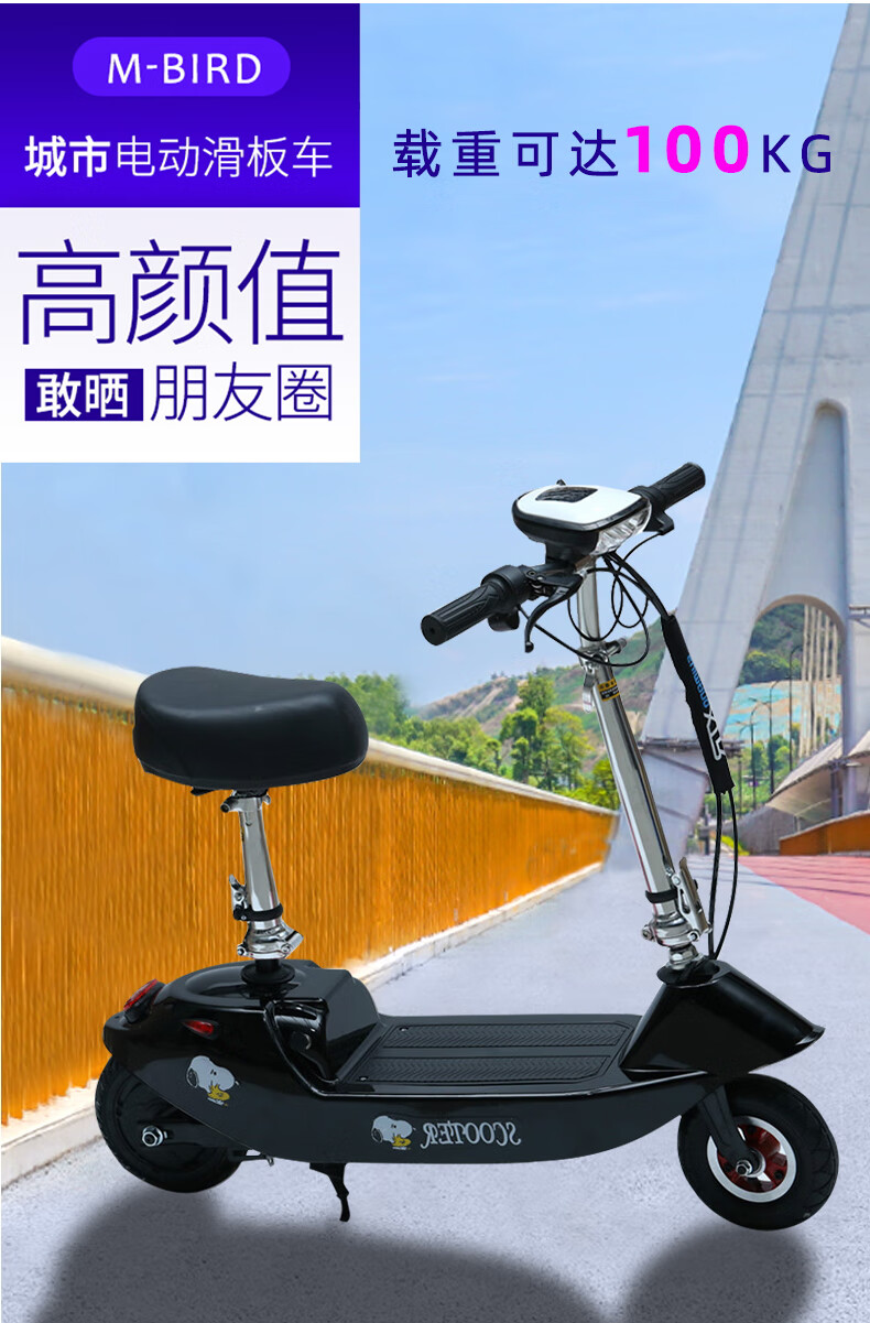 电动车小海豚电动车迷你电瓶车小海豚迷你轻便折叠式 黑色有刷蓄电池