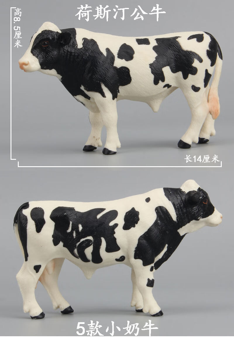 仿真动物模型摆件小牛牛崽奶牛小黄牛科教儿童动物玩具德克萨斯长角