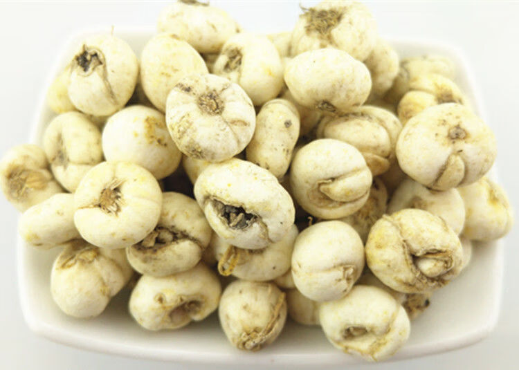 西藏特产贝母尖贝藏贝母西藏藏贝母味苦大颗粒中药材益补萃正宗藏贝母