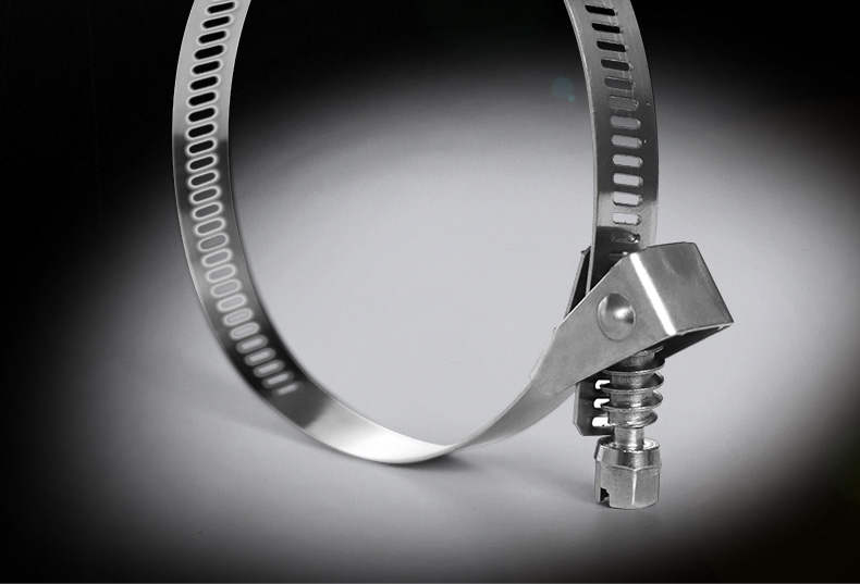 谦捷优 304材质不锈钢活扣扎带快拆卸可松退卡扣喉箍金属卡箍螺丝扎带