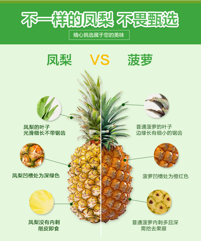 海南金钻凤梨5斤新鲜应季无眼热带水果凤梨菠萝凤梨9斤装35个