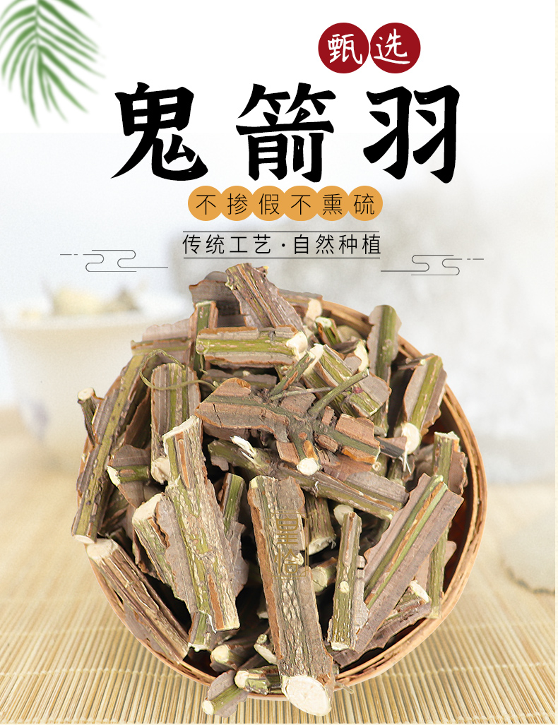 同仁堂野生鬼箭羽鬼剑羽冬青卫矛鬼见羽鬼剑雨六月凌见肿消中药材500g