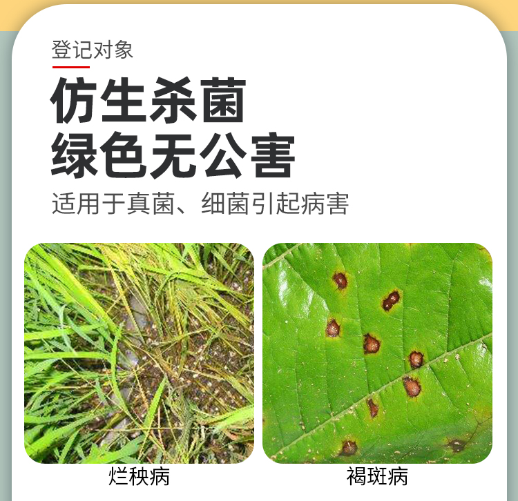 农药乙蒜素真菌细菌根腐病青枯萎病杀青苔蔬菜瓜果树高效杀菌剂100g