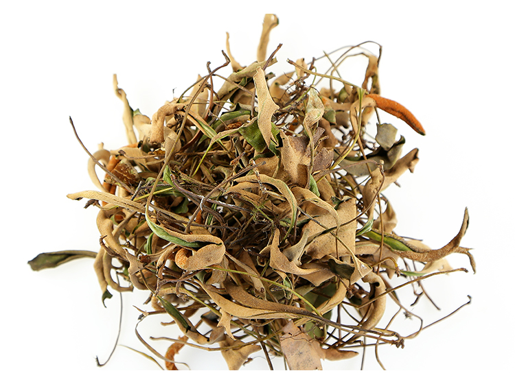 石韦草中药材石韦500g克石苇小叶石韦茶石伟石韦草药