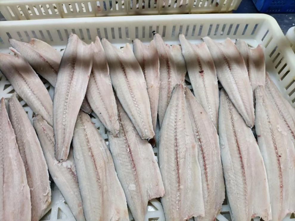 轻恋鲅鱼片新鲜冷冻大鲅鱼马鲛鱼水饺馅海产冻鱼批发 二斤装【家庭装