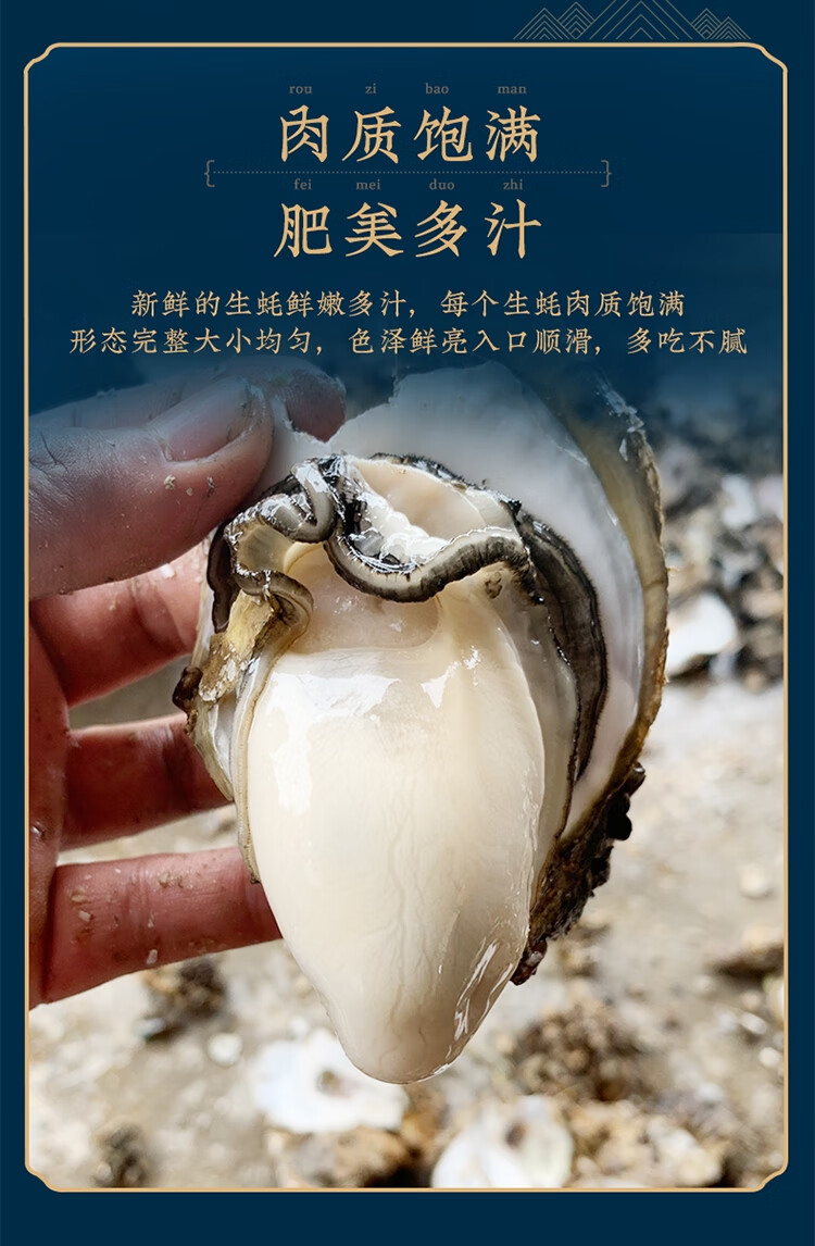 顺丰冷链超朴正宗台山特大带壳生蚝5斤装鲜活海产烧烤超大生蚝牡蛎xxx