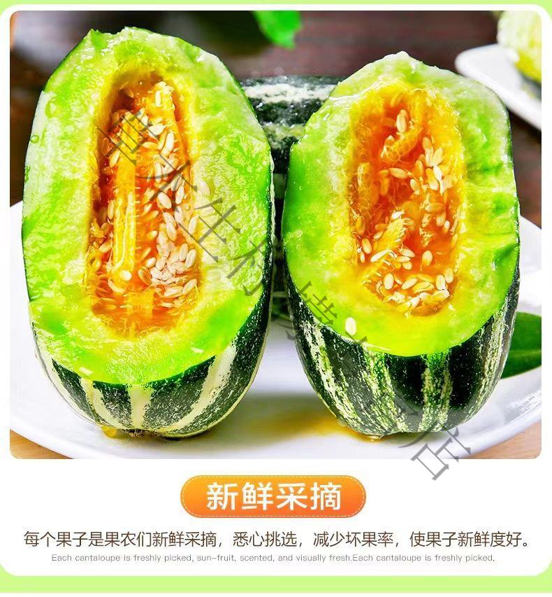 正宗山东博洋9号甜瓜当季新鲜水果脆甜羊角蜜玻璃脆香瓜花梨瓜3斤