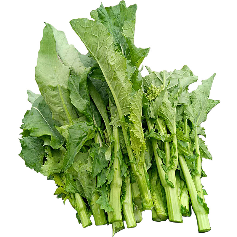 油菜苔新鲜青菜台当应季农家自种蔬菜现货菜薹菜心棒菜头 5斤【图片