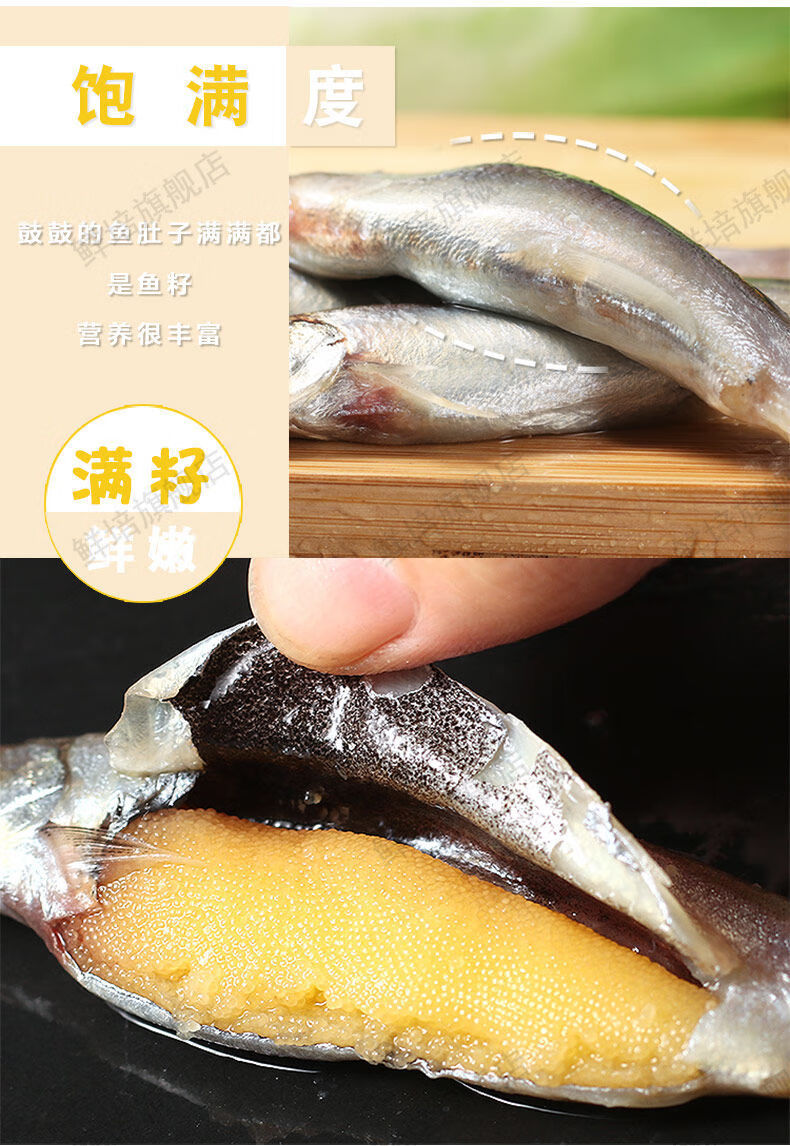 满籽多春鱼新鲜多籽鱼冷冻烧烤商用冰鲜特大带籽即食海鲜水产鱼籽二斤